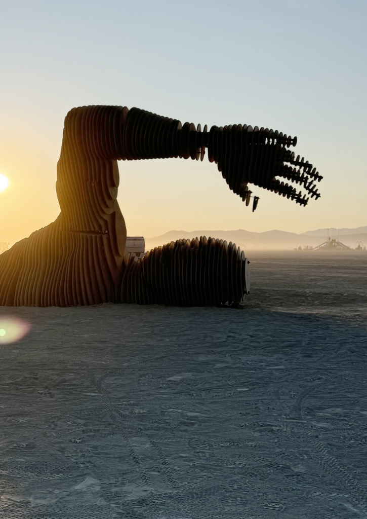 Чому люди з бізнесу їдуть на Burning Man? 223021 725x1024